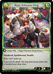 Briar, Schwartz King (172) - Distorted Reflections Foil - The Grand Archivist