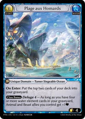 Plage aux Homards (121) - Phantom Monarchs